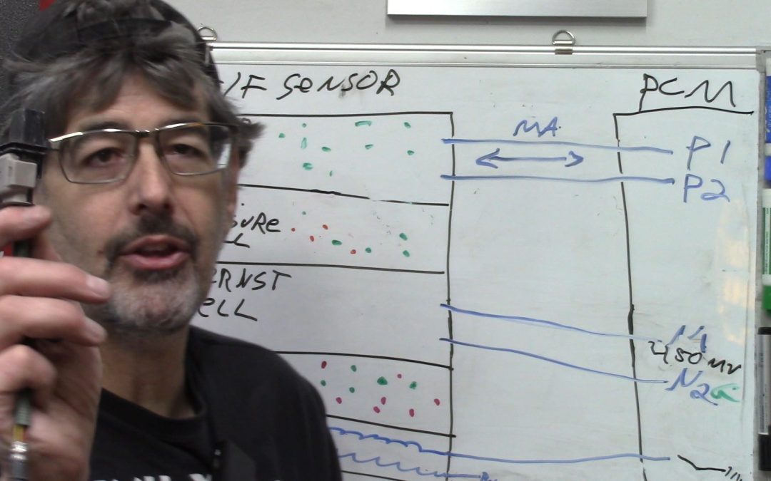 Understanding 6-Wire (Dual Cell) Air Fuel Sensors